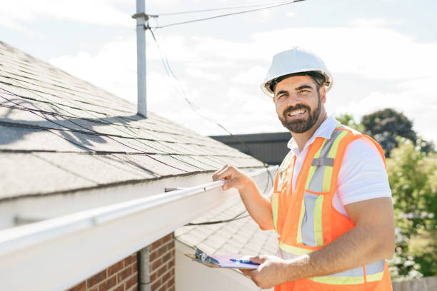 Best Roof Moss and Algae Removal  in Allardt, TN